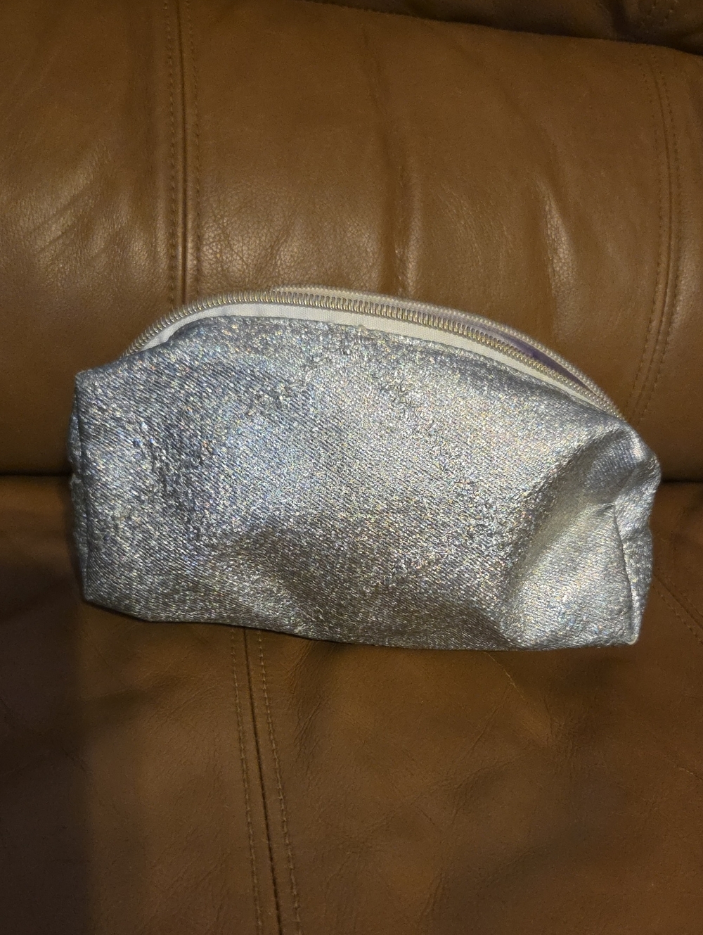 Silver Sparkle With Purple Liner Cosmetic Pouch - Women's Makeup Case